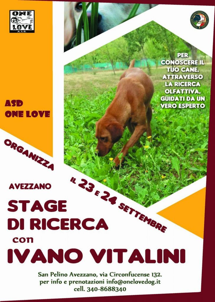 Avezzano (AQ) 23 e 24 Settembre 2017 - Stage di Ricerca ludica con Ivano Vitalini