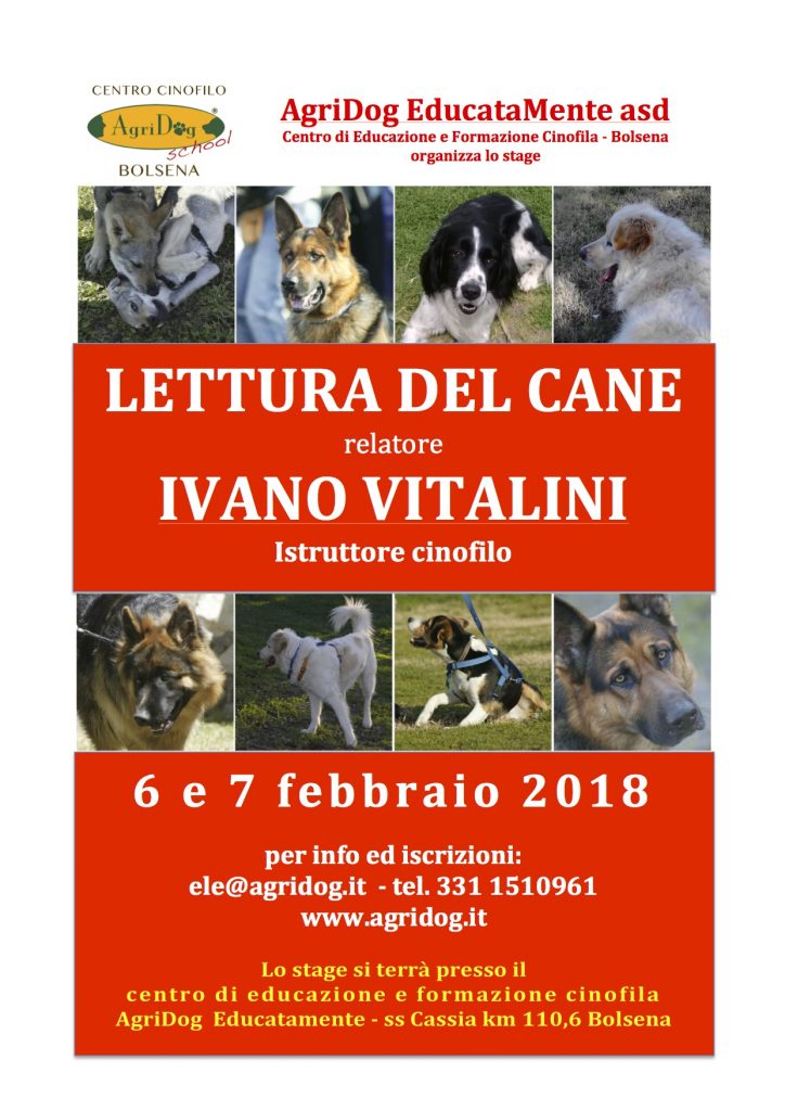 Bolsena (VT) 6 e 7 Febbraio 2018 - Lettura del cane con Ivano Vitalini