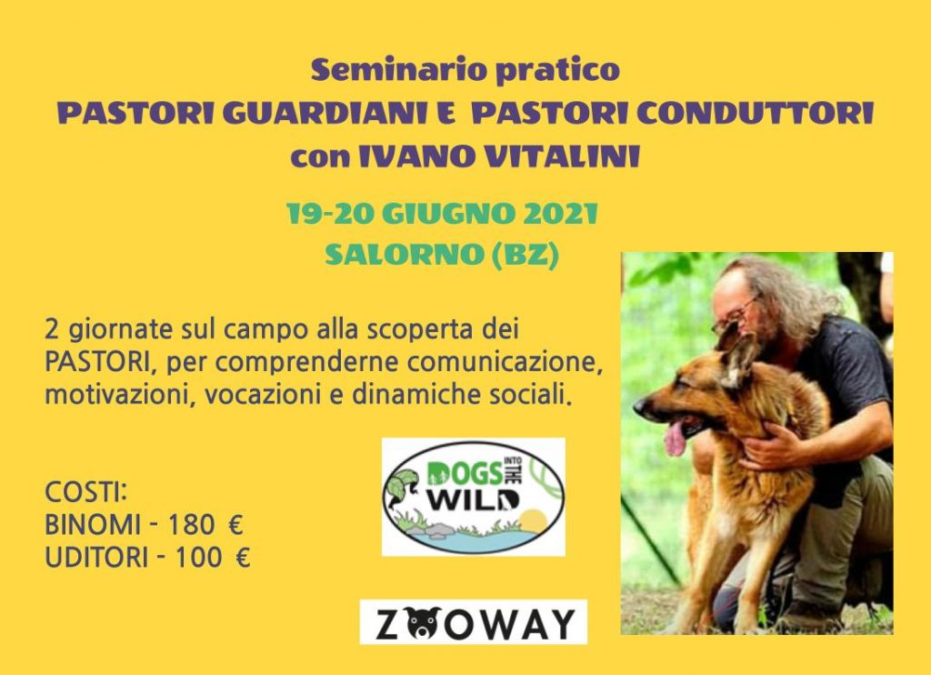 SALORNO (Bolzano) 19-29 Giugno 2021 - Pastori guardiani e pastori conduttori con Ivano Vitalini