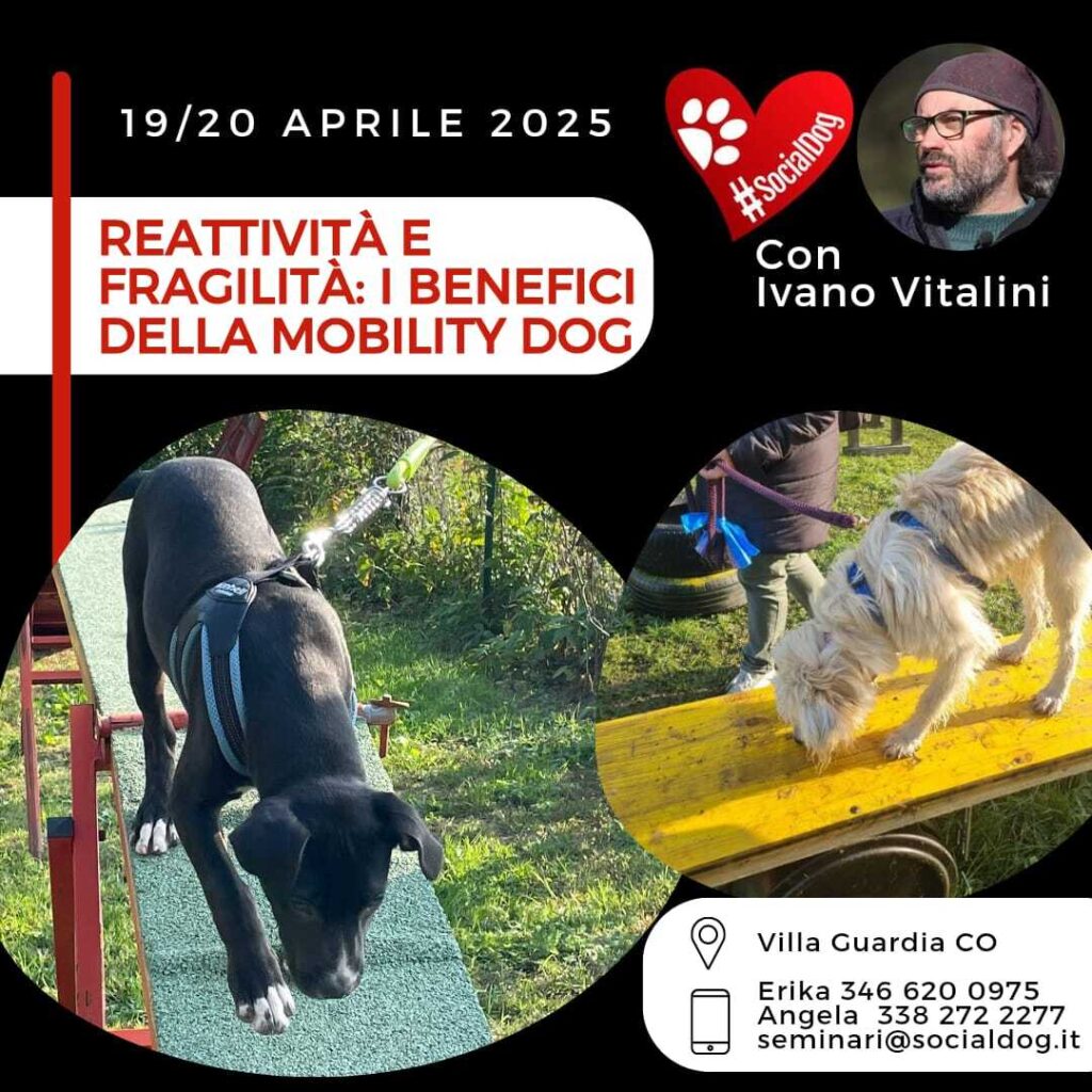 Villa Guardia (Como) 19 e 20 Aprile 2025 - Reattività e fragilità: i benefici della Mobility Dog con Ivano Vitalini